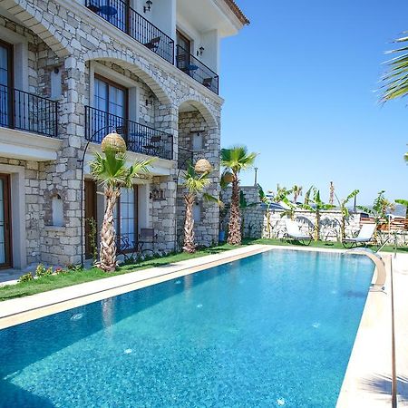 Avalon Boutique Hotel & Suites 阿拉恰特 外观 照片